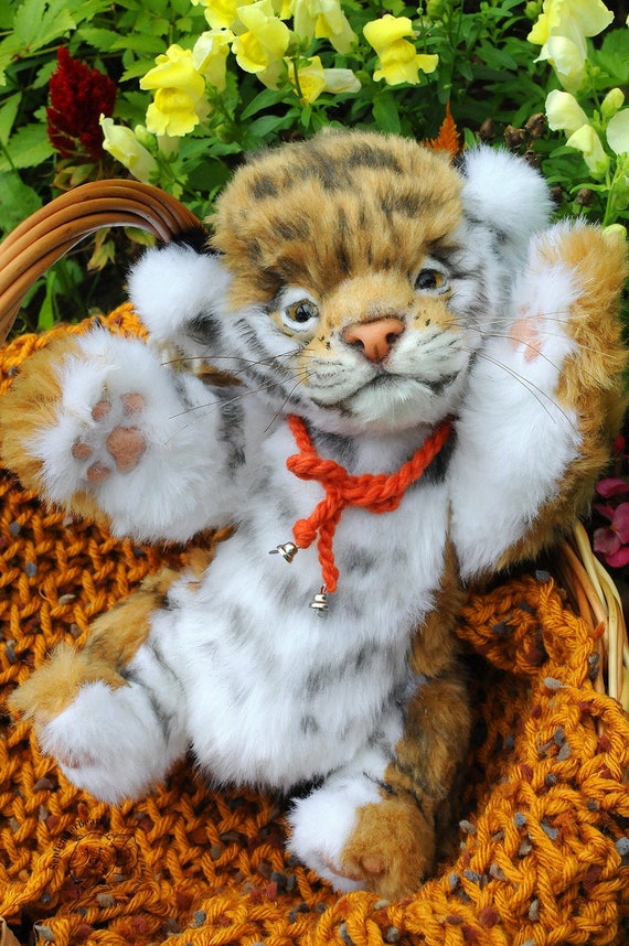 baby tiger teddy
