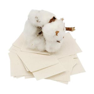 Könnte beinhalten: Nahaufnahme eines Stapels quadratischer, cremefarbener Wattepads mit einer flauschigen Baumwollkapsel obenauf. Die Baumwollkapsel ist weiß mit braunen Stielen und Samenkapseln. Die Pads sind auf weißem Hintergrund gestapelt.