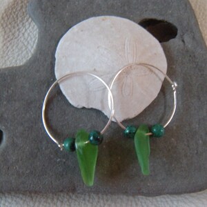 Green Authentic Sea Glass Sterling Silver Hoop Earrings Free Shipping image 5