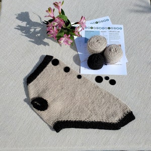 Dog Sweater, Easy DIY Knitting Kit