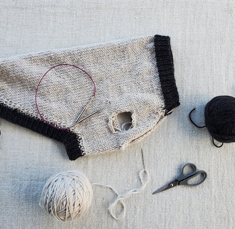 Dog Sweater, Easy DIY Knitting Kit Etsy