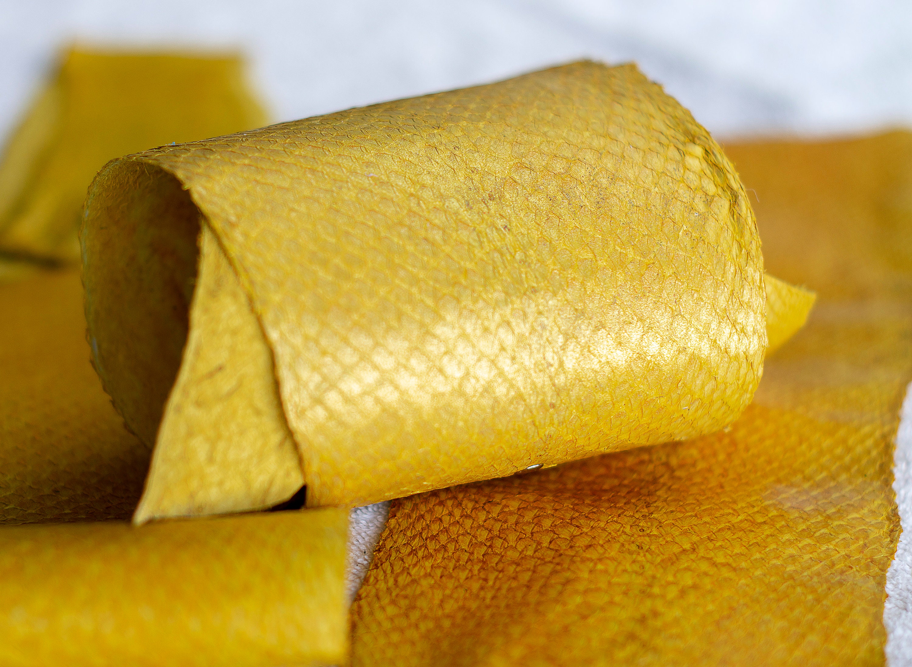 Salmon fish leather Iceland Atlantic leather Exotic Etsy