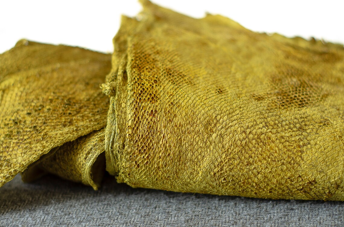 Cod fish leather and Wolf fish leather from Iceland Etsy