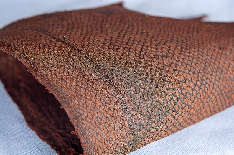 Salmon fish leather Iceland Atlantic leather Exotic Etsy