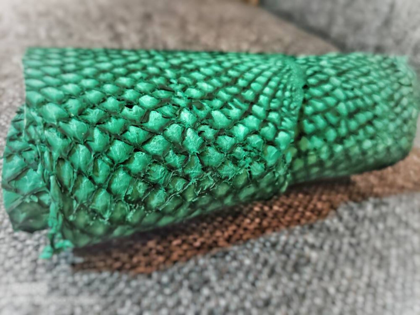 Salmon Fish Leather Iceland Atlantic Leather Exotic Etsy