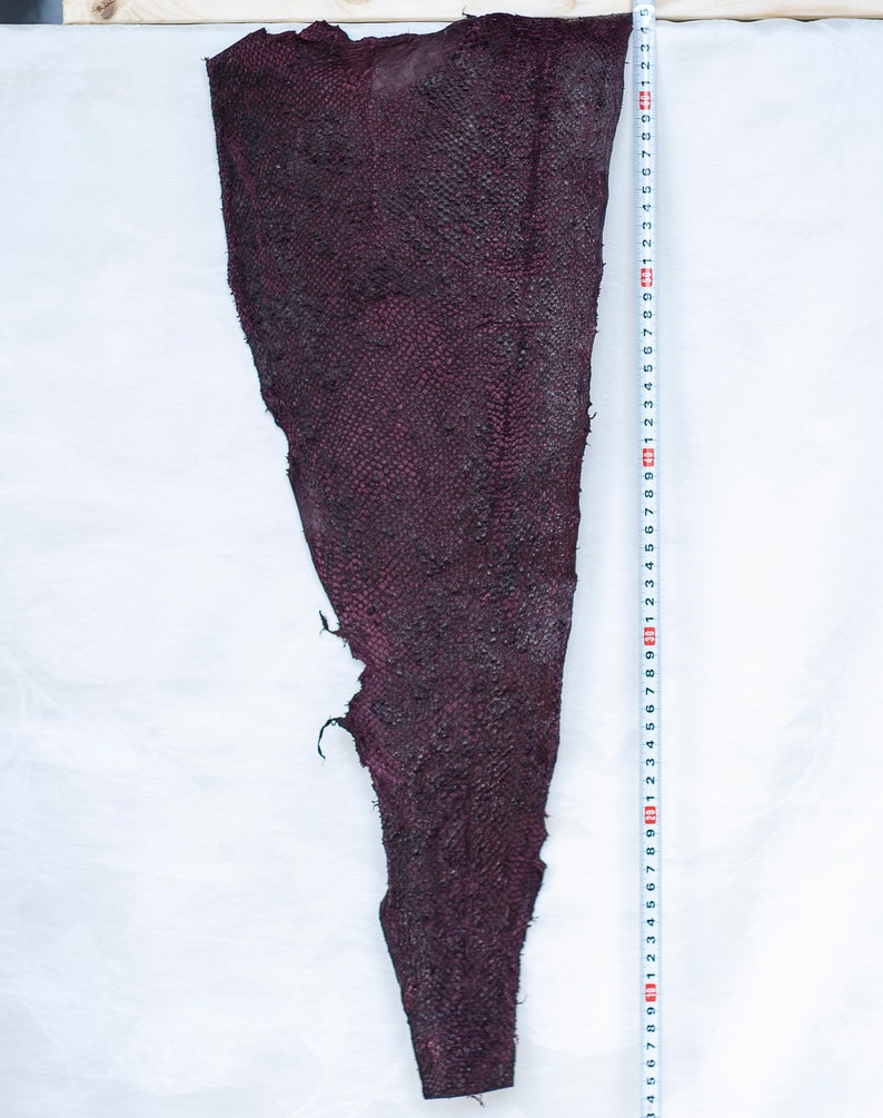 Cod Fish Leather and Wolf Fish Leather From Iceland Etsy