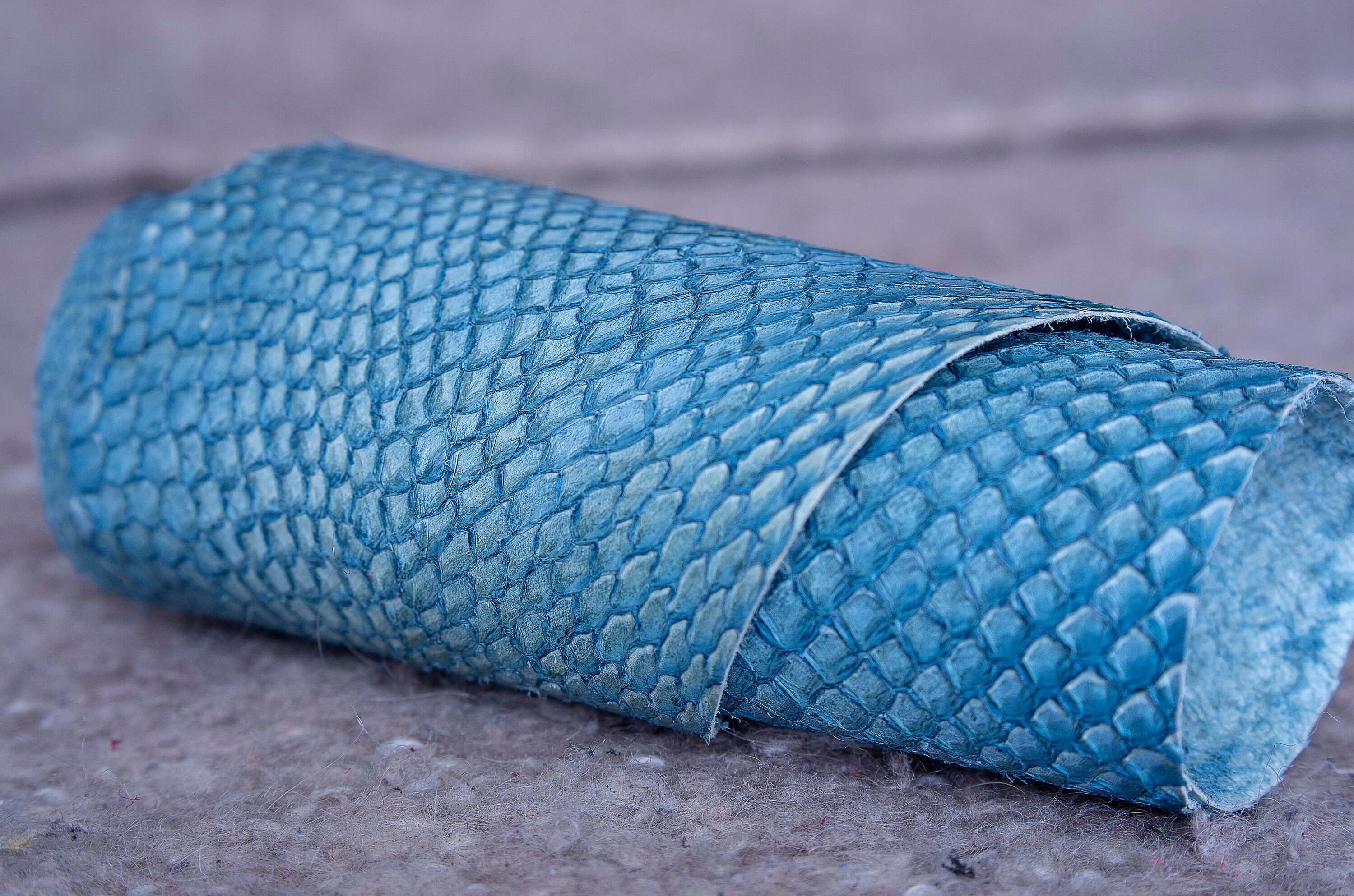 Salmon fish leather Iceland Atlantic leather Exotic Etsy