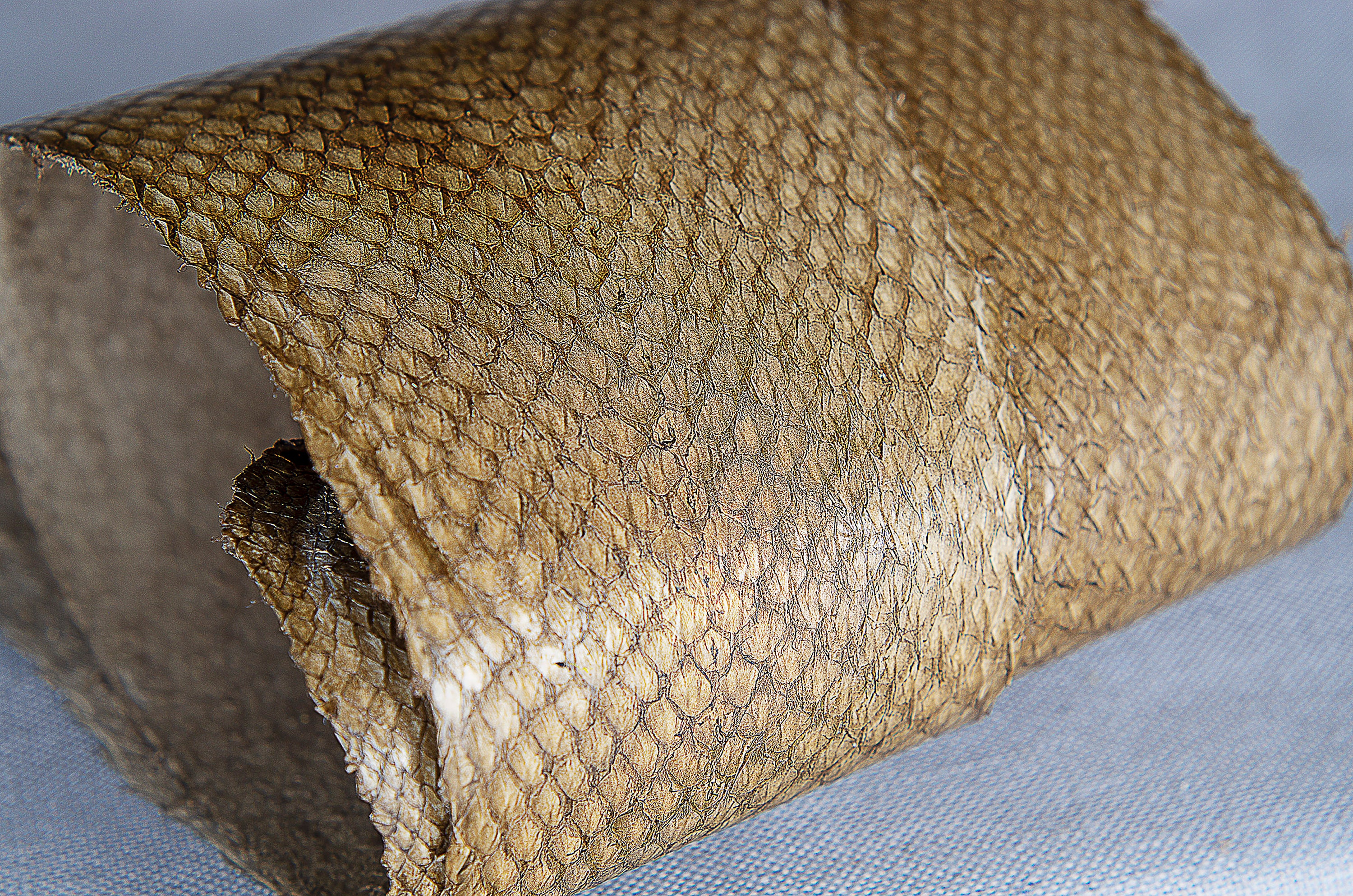 Salmon fish leather Iceland Atlantic leather Exotic Etsy