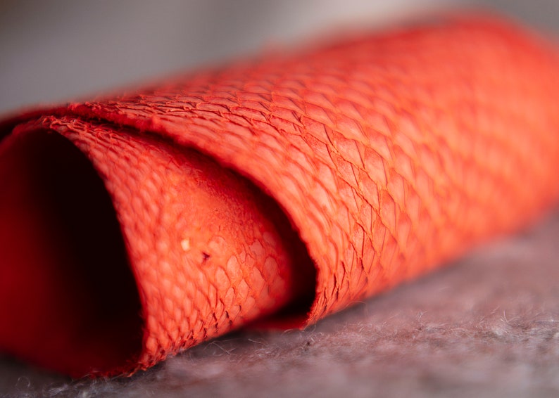 Atlantic Salmon fish leather Etsy