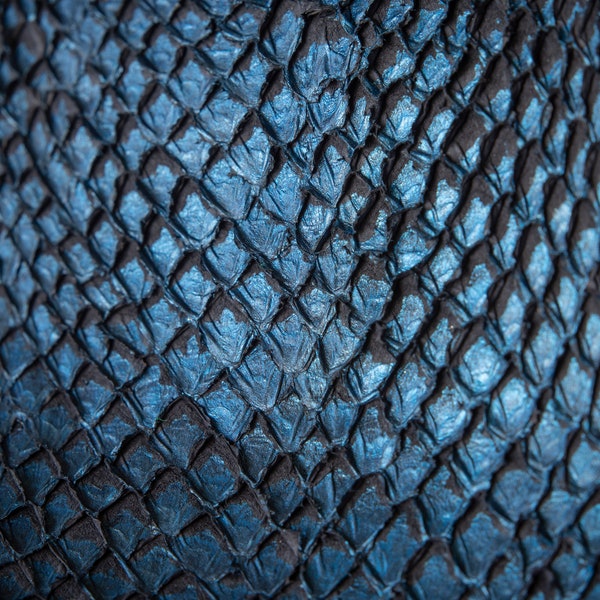 Salmon Fish Leather | Fabric | Tapestry | Fish Skin |