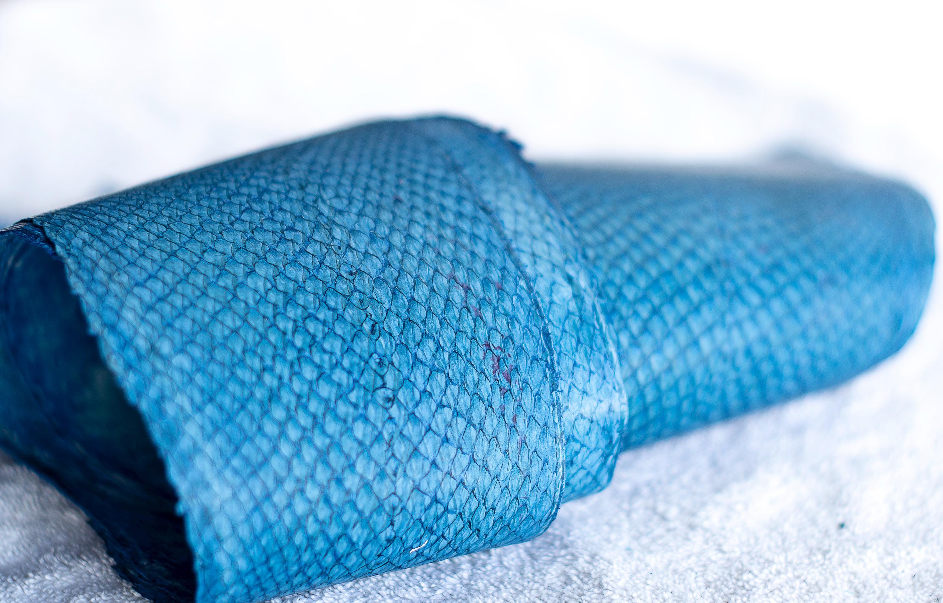 Salmon Fish Leather | Fabric | Tapestry | Fish Skin |