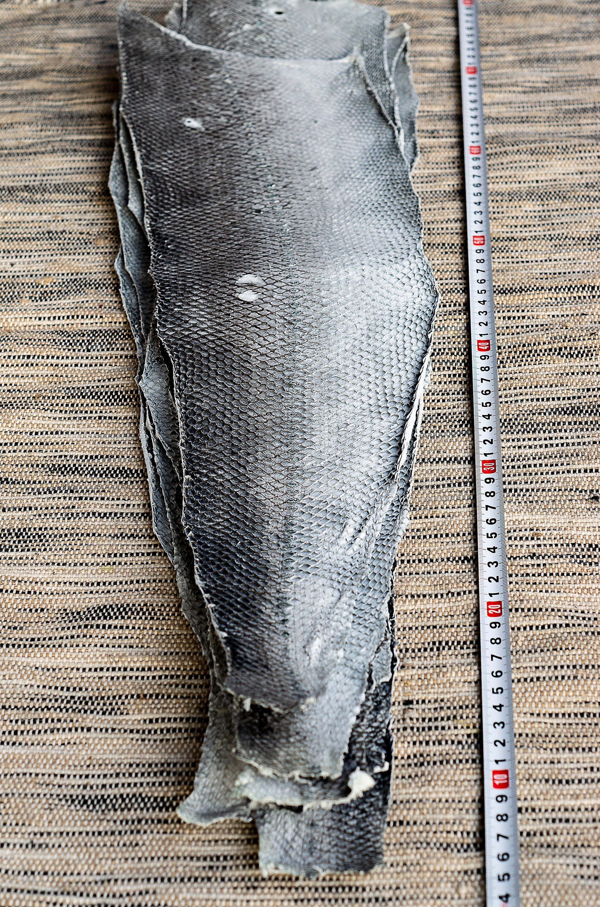 Salmon fish leather from Iceland Etsy