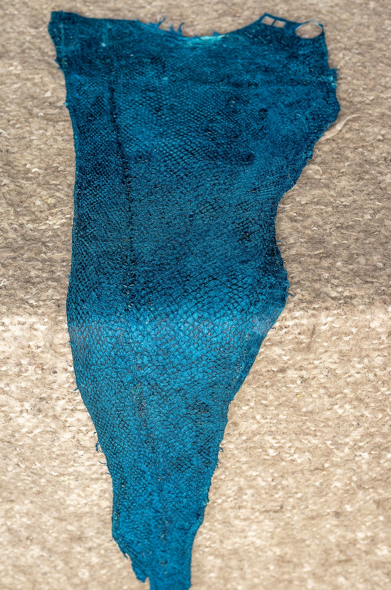 Cod fish leather and Wolf fish leather from Iceland Etsy