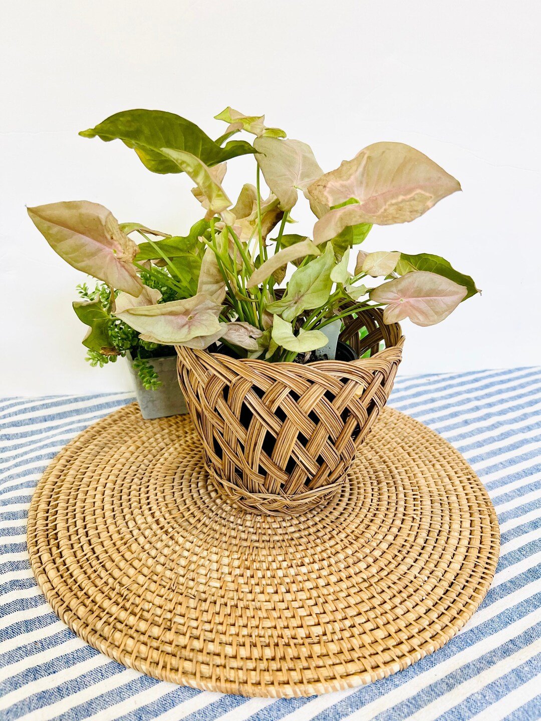Woven Brown Wicker Planter Basket - Etsy