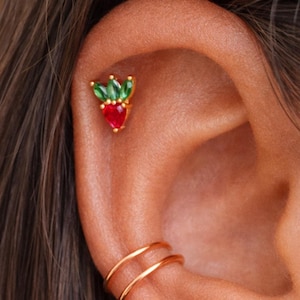 Helixoorbel Klein Kleurrijk Kraakbeen Stud Fruit Kers Framboos Druiven Appel CZ