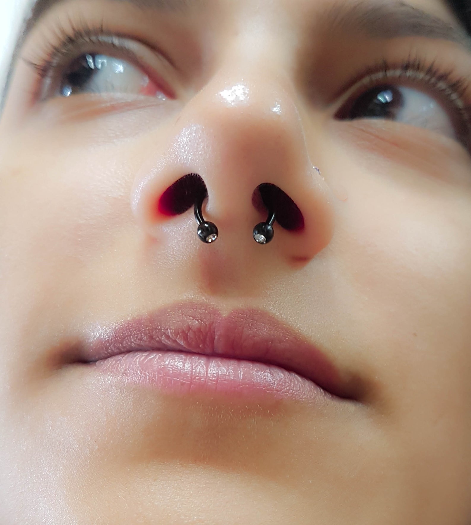 SALE Barbell septum Nose ring 16G Stainless SteelLip Etsy