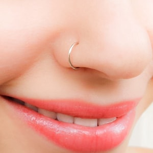 Fake Silver Nose Ring, Fake Nose Hoop, Faux Silver Nose Ring, Fake Gold Nose Ring, Nose Clip, Fake Nose Hoop, Fake Dainty Nose Ring