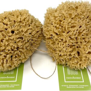 Large Natural Sponges for Bathing - Eco Friendly Sponges from the Ocean (14-16cm) image 5