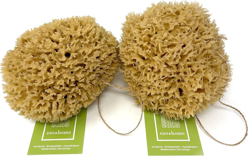 Large Natural Sponges for Bathing - Eco Friendly Sponges from the Ocean (14-16cm) image 5