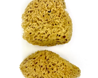 Natural Sea Sponges: Art, Pottery, Crafts - Pack of 2 (10-12cm)
