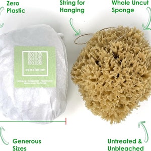 Large Natural Sponges for Bathing - Eco Friendly Sponges from the Ocean (14-16cm) image 3