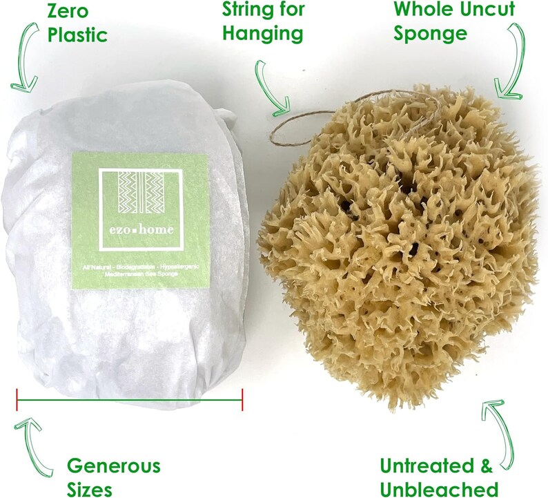 Large Natural Sponges for Bathing - Eco Friendly Sponges from the Ocean (14-16cm) image 3
