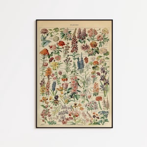 Vintage Flowers Chart Poster: Botanical Wall Art