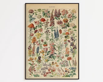 Vintage Flowers Chart Poster: Botanical Wall Art
