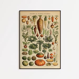 Vintage Vegetable Chart Poster: Botanical Kitchen Wall Art