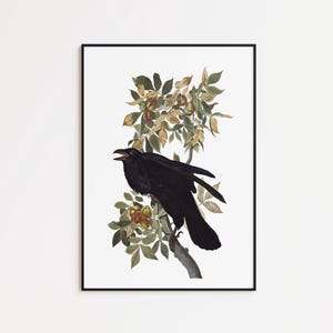 Rabe Kunstdruck: Gerahmtes Poster, Leinwand Wandkunst
