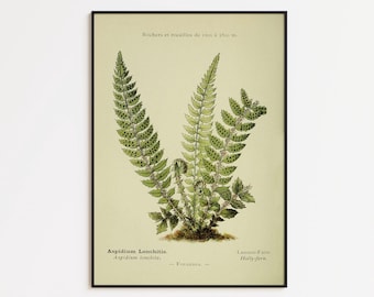 Vintage Fern Botanical Art Print: Kitchen Wall Decor