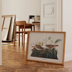 Impresiones de arte de aves vintage / Póster de aves / Impresión enmarcada / Arte de aves / Impresión de gorriones / Arte de pared de aves / Decoración de aves para pared / Arte moderno / Impresiones de arte de aves