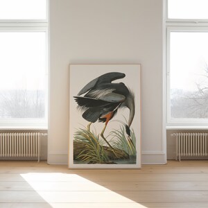 Stampe d'arte di uccelli vintage/Poster di uccelli/Stampa incorniciata/Arte di uccelli/Tela d'arte/Arte da parete di uccelli/Decorazione di uccelli per parete/Arte moderna/Stampe d'arte di uccelli