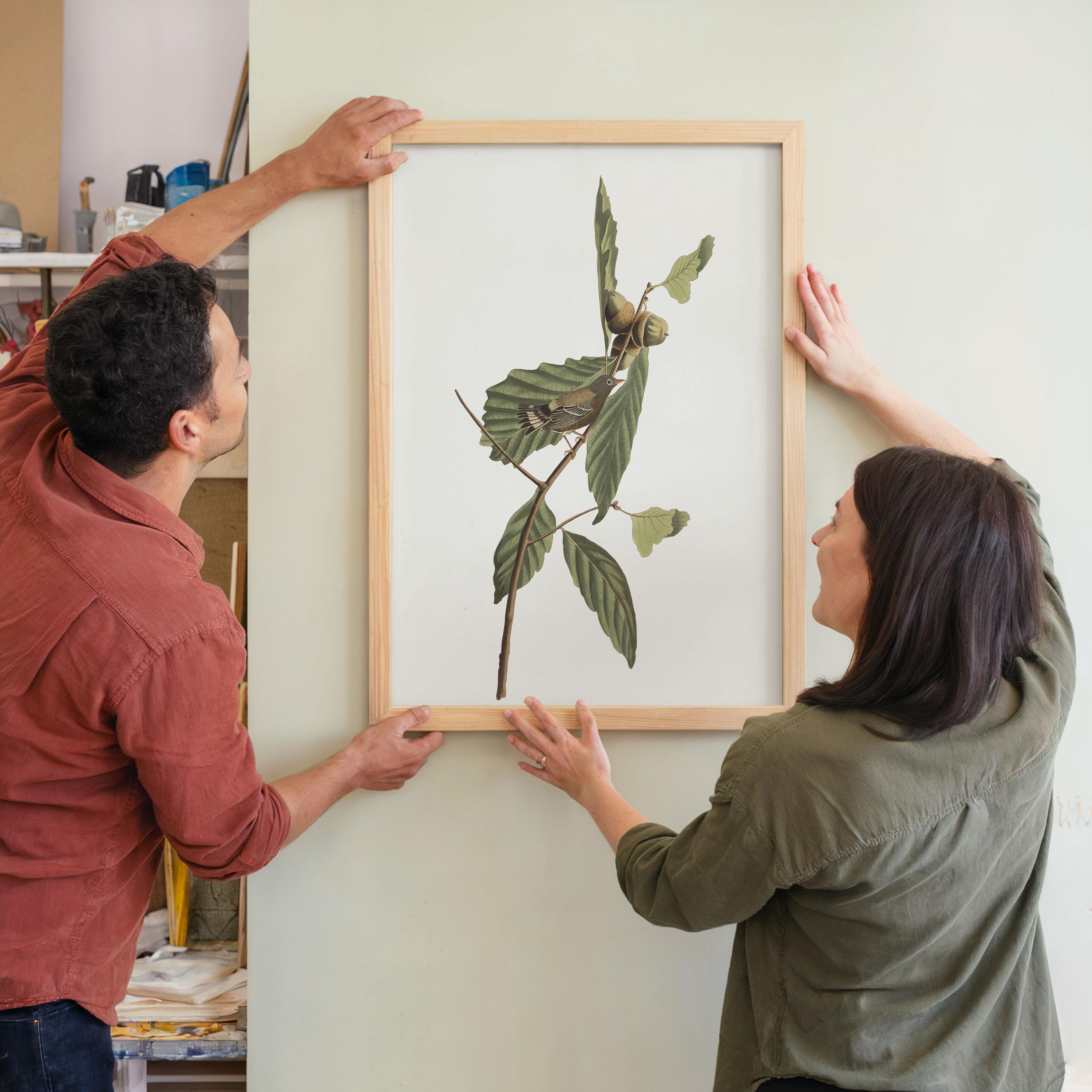 アメリカムシクイ絵画　額縁付き クロキイロアメリカムシクイの鳥のアートプリント：額入りポスター