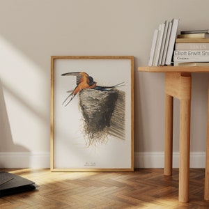 Stampe d'arte di uccelli vintage/Poster di uccelli/Stampa incorniciata/Arte di uccelli/Tela d'arte/Arte da parete di uccelli/Decorazione di uccelli per parete/Arte moderna/Stampe d'arte di uccelli