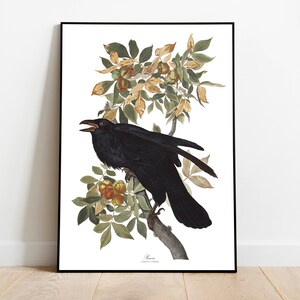Impresiones de arte de aves vintage / Póster de aves / Impresión enmarcada / Arte de aves / Lienzo de arte / Arte de pared de aves / Decoración de aves para pared / Arte moderno / Impresiones de arte de aves