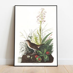 Impresiones de arte de aves vintage / Póster de aves / Impresión enmarcada / Arte de aves / Lienzo de arte / Arte de pared de aves / Decoración de aves para pared / Arte moderno / Impresiones de arte de aves