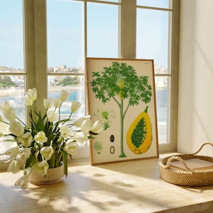 Papaya Wall Print| Botanical Wall Art| Art Canvas| Poster Vintage| Flower Art| Kitchen Wall Art| Wall Poster| Framed Art Prints