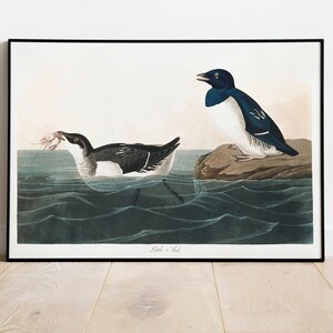 Impresiones de arte de aves vintage / Póster de aves / Impresión enmarcada / Arte de aves / Lienzo de arte / Arte de pared de aves / Decoración de aves para pared / Arte moderno / Impresiones de arte de aves