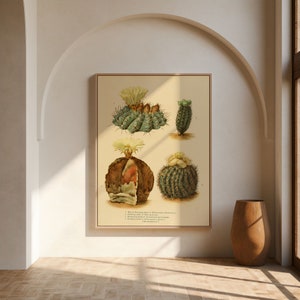 Kaktus Wandbild | Botanische Wandkunst | Kunst Leinwand | Poster Vintage| Blumen Kunst | Küche Wandkunst | Poster | Gerahmte Kunstdrucke