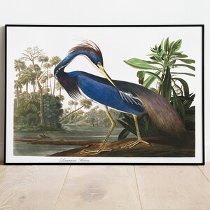 Stampe d'arte di uccelli vintage/Poster di uccelli/Stampa incorniciata/Arte di uccelli/Tela d'arte/Arte da parete di uccelli/Decorazione di uccelli per parete/Arte moderna/Stampe d'arte di uccelli
