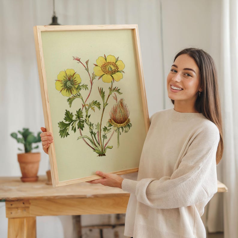 May include: A framed botanical print featuring yellow flowers with green leaves and a reddish-brown seed head. The artwork is displayed in a natural wood frame. The print has a vintage aesthetic.