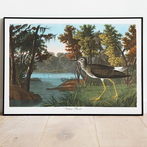 Stampe d'arte di uccelli vintage/Poster di uccelli/Stampa incorniciata/Arte di uccelli/Tela d'arte/Arte da parete di uccelli/Decorazione di uccelli per parete/Arte moderna/Stampe d'arte di uccelli