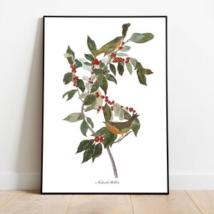 Impresiones de arte de aves vintage / Póster de aves / Impresión enmarcada / Arte de aves / Lienzo de arte / Arte de pared de aves / Decoración de aves para pared / Arte moderno / Impresiones de arte de aves