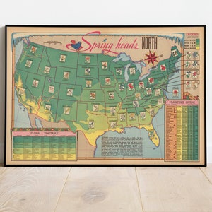 USA Floral Map Print | Kunstgeschichte| Blumenkunst| Gerahmte Wandkunst| Leinwandbild | Botanische Wandkunst| Drucke Wandkunst| Landkarte Wandbilder