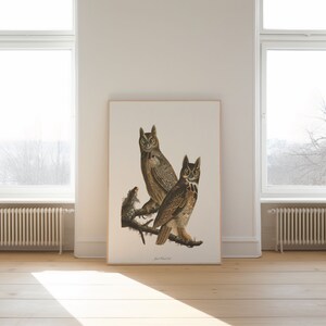 Impresiones de arte de aves vintage / Póster de aves / Impresión enmarcada / Arte de aves / Póster de búho / Arte de pared de aves / Decoración de aves para pared / Arte moderno / Impresiones de arte de aves
