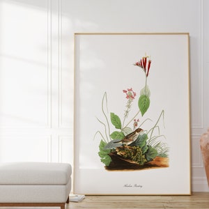 Impresiones de arte de aves vintage / Póster de aves / Impresión enmarcada / Arte de aves / Lienzo de arte / Arte de pared de aves / Decoración de aves para pared / Arte moderno / Impresiones de arte de aves