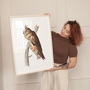 Long Eared Owl Art Print Framed Poster Print Wall Art Canvas Art Print Wall Decor