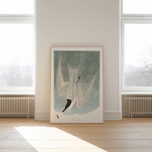 Impresiones de arte de aves vintage / Póster de aves / Impresión enmarcada / Arte de aves / Lienzo de arte / Arte de pared de aves / Decoración de aves para pared / Arte moderno / Impresiones de arte de aves