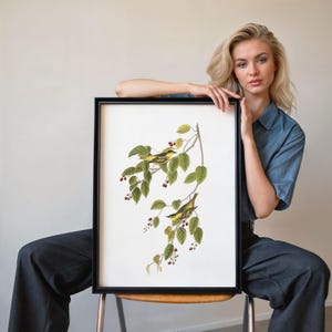 Warbler Bird Art Print Framed Poster Print Wall Art Canvas Art Print Wall Art